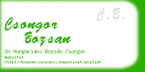 csongor bozsan business card